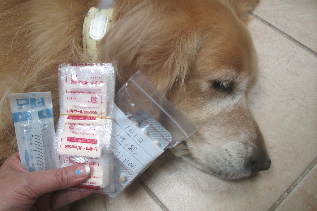 ファイル 3180-2.jpg