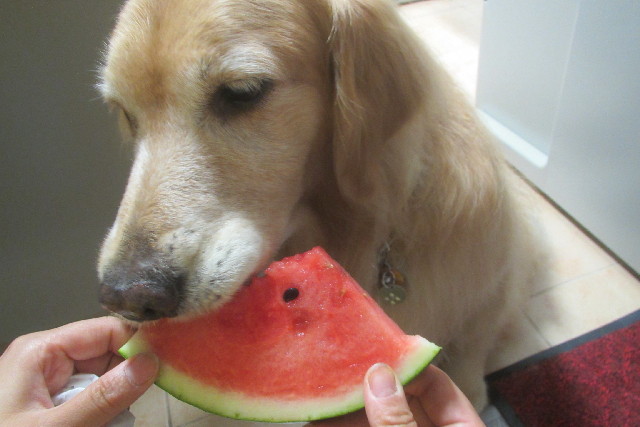 ファイル 3180-4.jpg