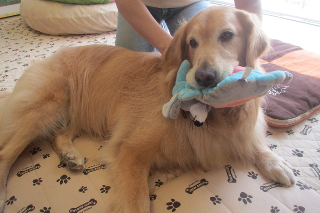 ファイル 3180-5.jpg