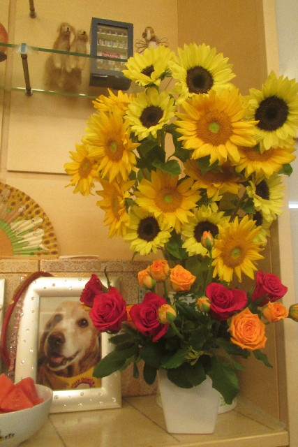 ファイル 3182-1.jpg