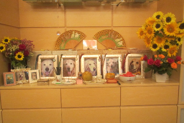 ファイル 3182-4.jpg