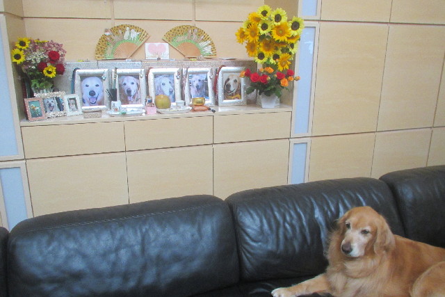 ファイル 3182-5.jpg