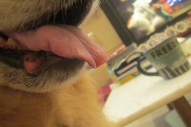 ファイル 3184-2.jpg