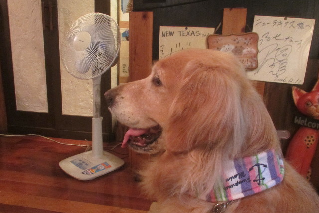 ファイル 3186-2.jpg