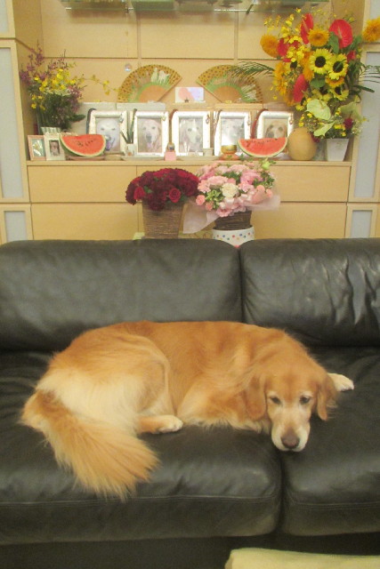 ファイル 3187-5.jpg