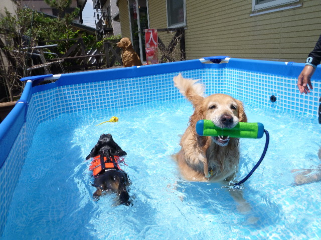 ファイル 3188-1.jpg