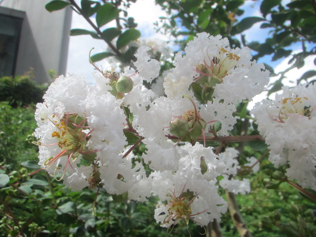 ファイル 3200-4.jpg