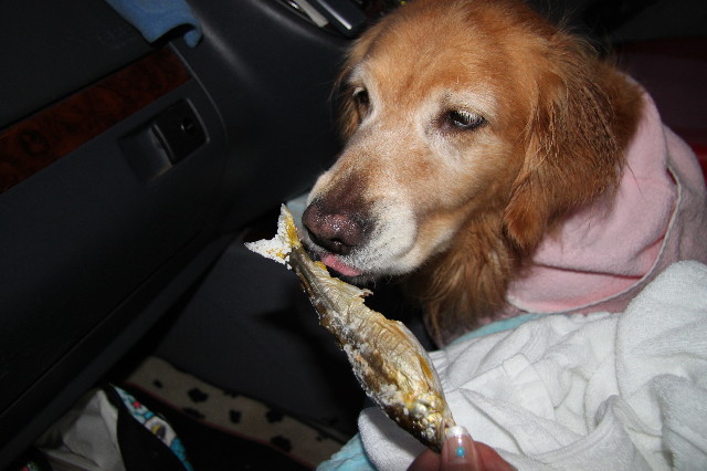 ファイル 3204-3.jpg