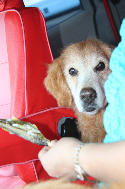 ファイル 3204-4.jpg