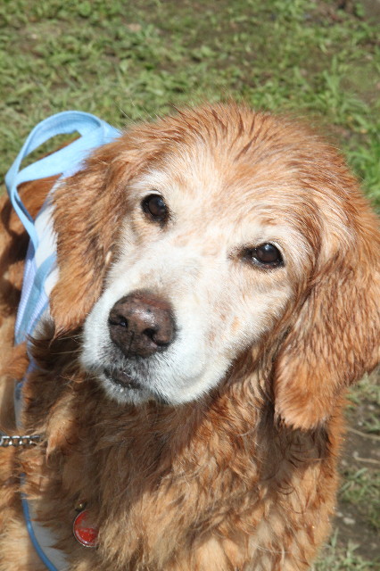 ファイル 3205-1.jpg