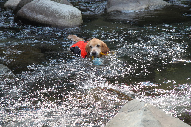 ファイル 3205-5.jpg