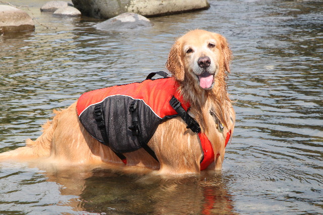 ファイル 3206-5.jpg