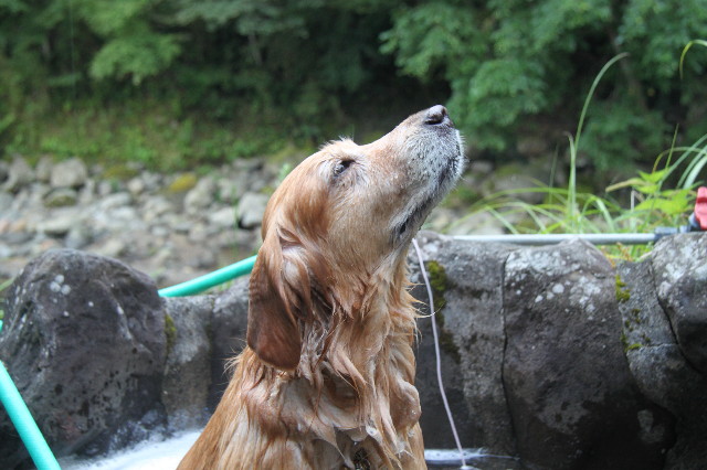 ファイル 3207-1.jpg