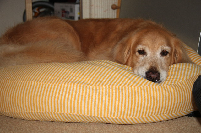 ファイル 3208-5.jpg