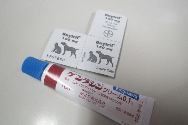 ファイル 3209-4.jpg