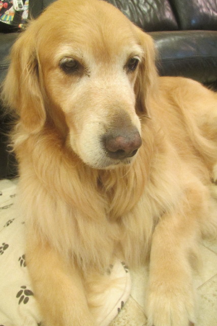 ファイル 3209-5.jpg