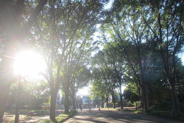 ファイル 3210-2.jpg