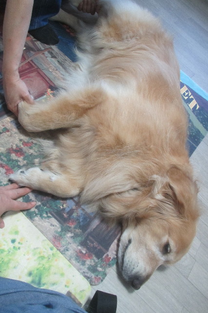 ファイル 3211-1.jpg