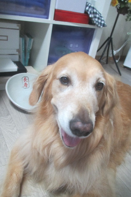 ファイル 3211-3.jpg