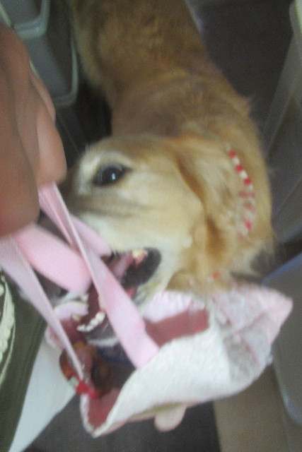 ファイル 3212-1.jpg