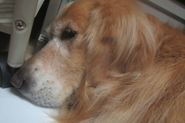 ファイル 3212-5.jpg