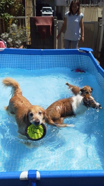 ファイル 3213-3.jpg