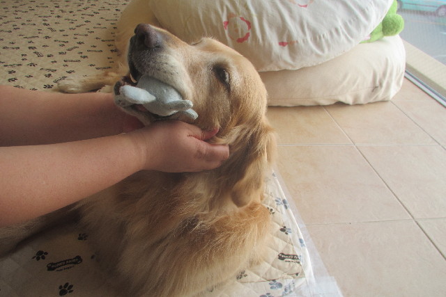 ファイル 3214-1.jpg