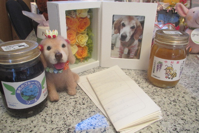 ファイル 3214-3.jpg