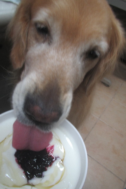 ファイル 3214-4.jpg