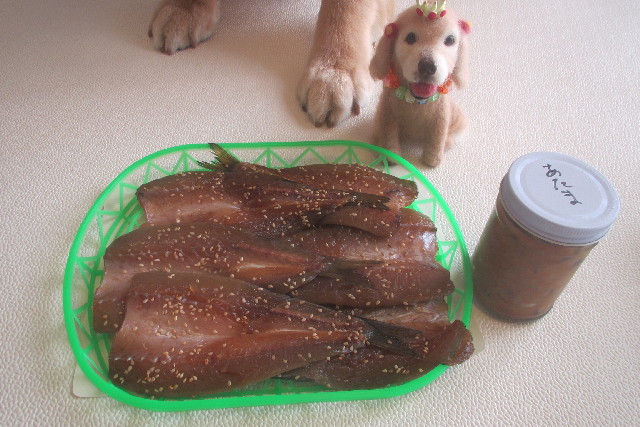 ファイル 3216-5.jpg