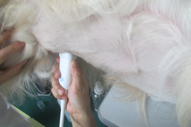 ファイル 3217-3.jpg