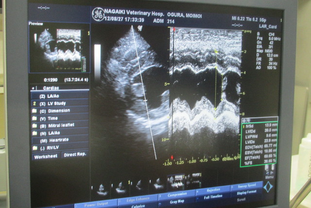 ファイル 3217-4.jpg