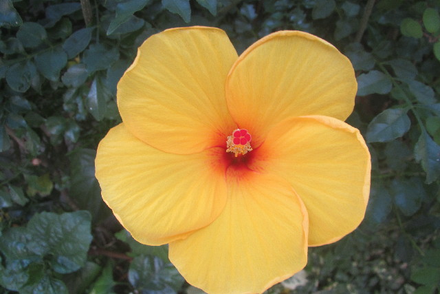 ファイル 3218-4.jpg