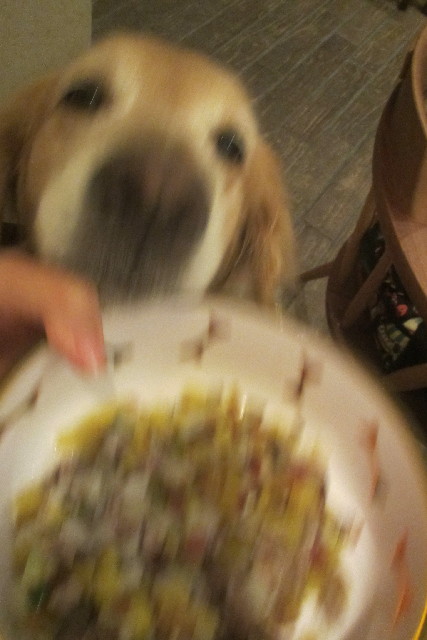 ファイル 3219-5.jpg