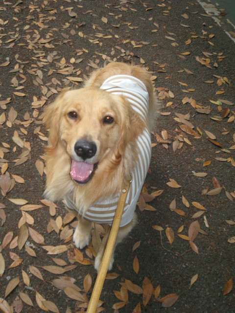 ファイル 322-1.jpg