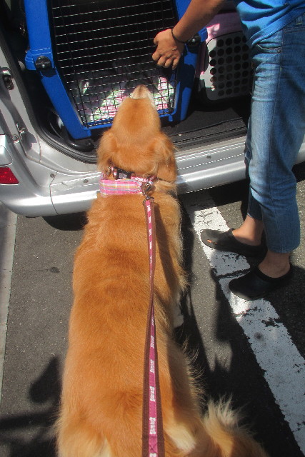 ファイル 3220-4.jpg