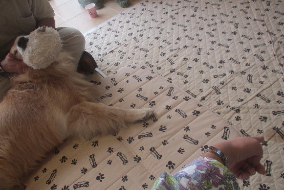 ファイル 3223-3.jpg