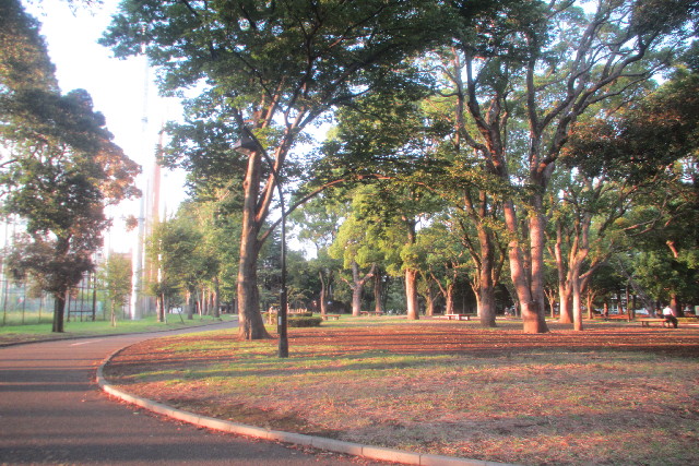 ファイル 3225-1.jpg