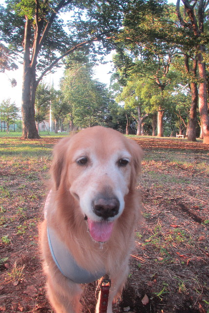 ファイル 3225-2.jpg