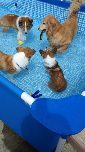 ファイル 3227-2.jpg