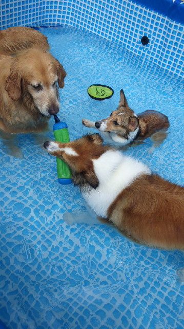 ファイル 3227-3.jpg