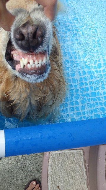 ファイル 3227-5.jpg