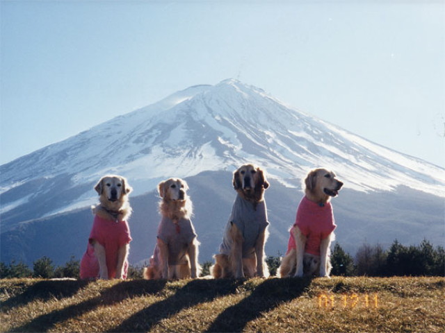 ファイル 3233-3.jpg