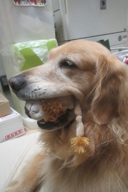 ファイル 3234-3.jpg