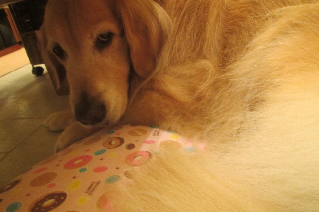 ファイル 3234-5.jpg