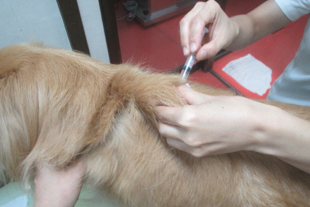 ファイル 3235-1.jpg