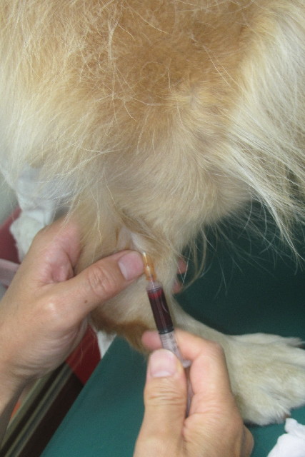 ファイル 3235-2.jpg