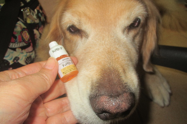 ファイル 3235-4.jpg