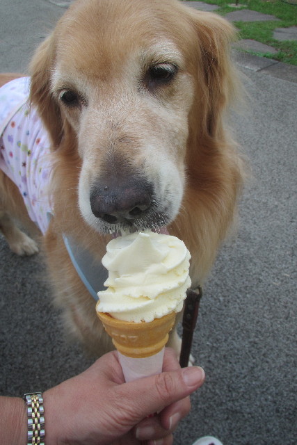 ファイル 3236-3.jpg