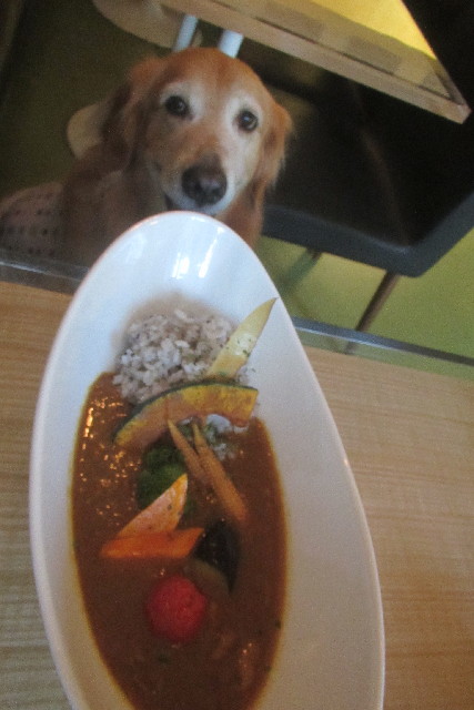 ファイル 3236-4.jpg